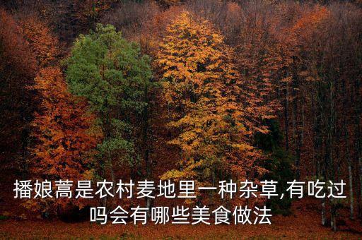播娘蒿是農村麥地里一種雜草,有吃過嗎會有哪些美食做法