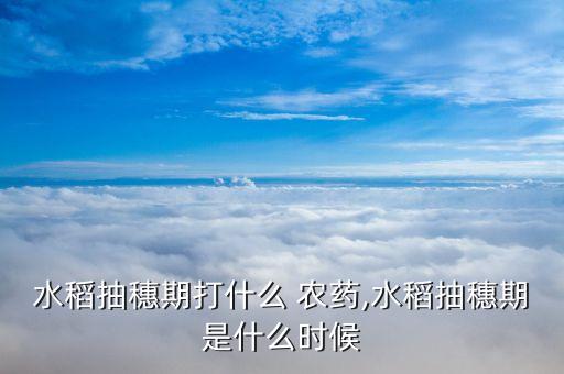 水稻抽穗期打什么 農藥,水稻抽穗期是什么時候
