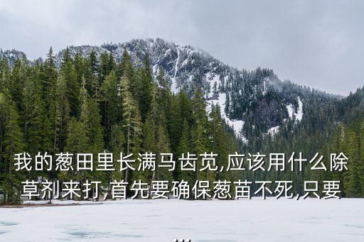 蔥地長草打什么農藥,什么農藥三年不長草