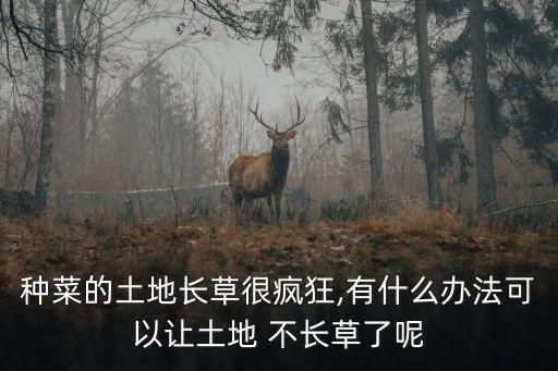 什么農(nóng)藥能讓地里不長草