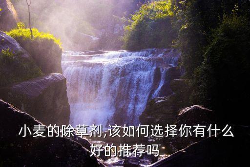  小麥的除草劑,該如何選擇你有什么好的推薦嗎