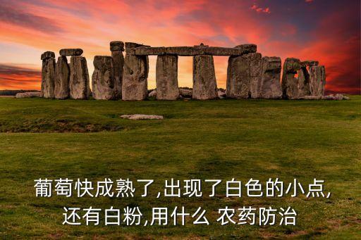 葡萄打什么農(nóng)藥上果粉,葡萄用什么農(nóng)藥最多