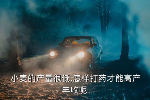  小麥的產(chǎn)量很低,怎樣打藥才能高產(chǎn)豐收呢