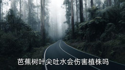 芭蕉頭用什么農(nóng)藥,白菜爛頭用什么農(nóng)藥