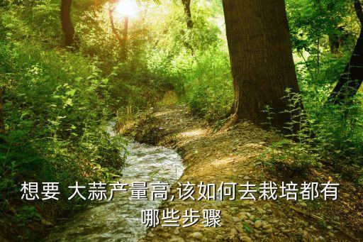 想要 大蒜產(chǎn)量高,該如何去栽培都有哪些步驟