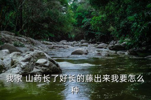 山藥發芽期噴灑什么農藥,山藥什么季節發芽