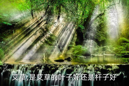 ,農田艾蒿用什么農藥好