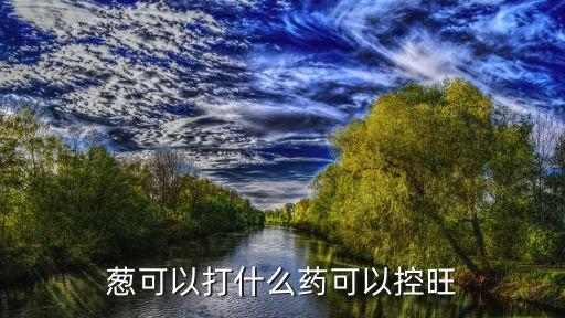 大蔥使用什么農藥好些呢,大蔥打什么農藥綠油油