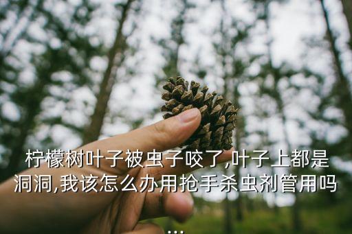 檸檬樹春季用什么農(nóng)藥,油菜春季打什么農(nóng)藥