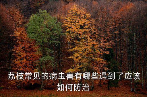荔枝蛀蒂有什么農(nóng)藥,荔枝蒂蛀蟲專用農(nóng)藥