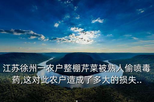 江蘇徐州一農戶整棚芹菜被熟人偷噴毒藥,這對此農戶造成了多大的損失...