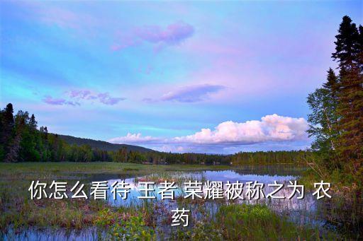 王者榮耀為什么qq登錄失敗,為什么說是王者榮耀農(nóng)藥
