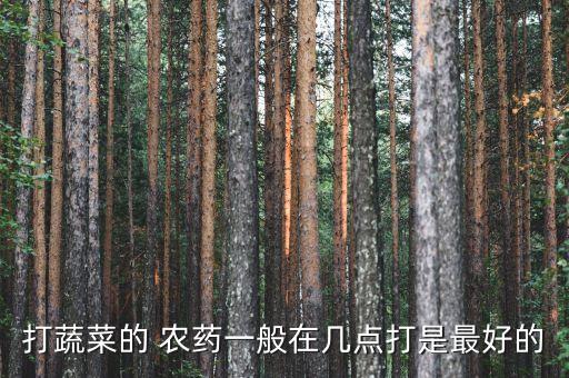 打蔬菜的 農(nóng)藥一般在幾點打是最好的