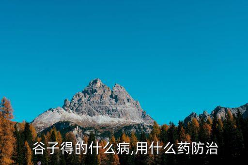 谷子不結穗打什么農藥