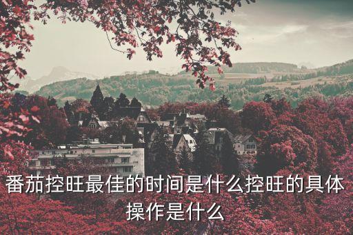種植西紅柿用什么農藥,西紅柿種植方法及注意事項