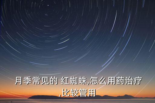  月季常見的 紅蜘蛛,怎么用藥治療,比較管用