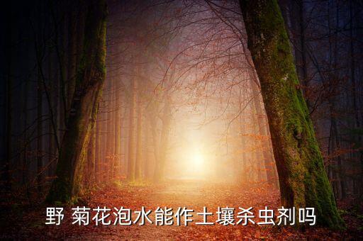野 菊花泡水能作土壤殺蟲劑嗎