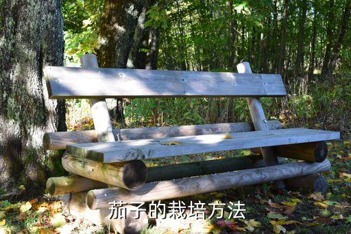 茄子的栽培方法