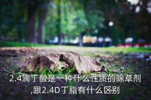 2.4滴丁酸是一種什么性質的除草劑,跟2.4D丁脂有什么區別