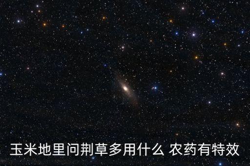什么農藥打筆管草嘛,打農藥一般什么時間打比較好