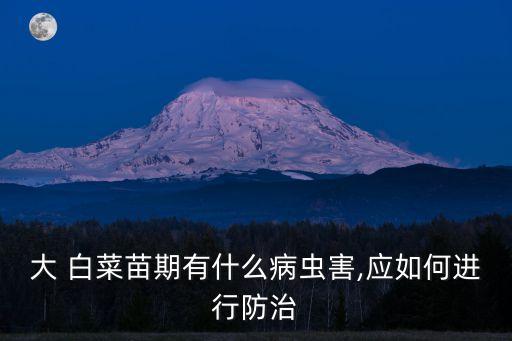 白菜害蟲用什么農藥,白菜打農藥什么時間最好