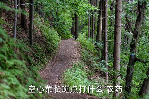 空心菜用什么農(nóng)藥打