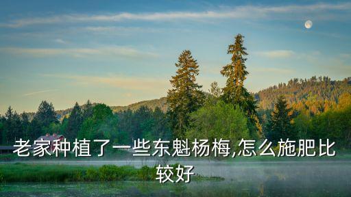 ,楊梅樹適合種什么農藥