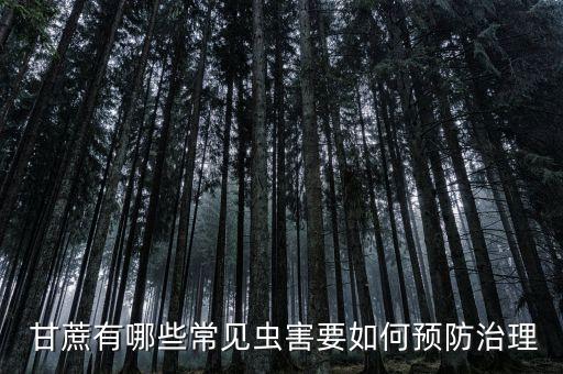 甘蔗生病用什么農藥,甘蔗打什么農藥長得快