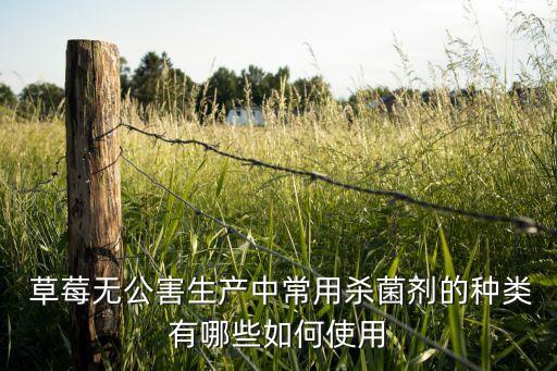 草莓無公害生產中常用殺菌劑的種類有哪些如何使用
