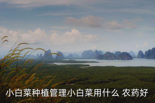小白菜種植管理小白菜用什么 農藥好