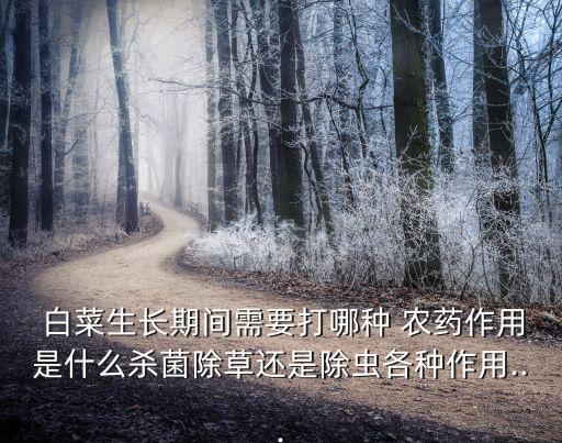 白菜病用什么農藥,白菜打農藥什么時間最好