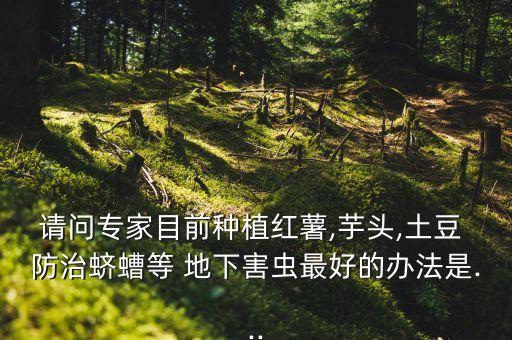 地下蟲卵用什么農藥防治,打蟲卵的農藥有什么