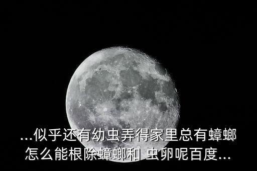 糖稷什么農(nóng)藥能打死蟲卵