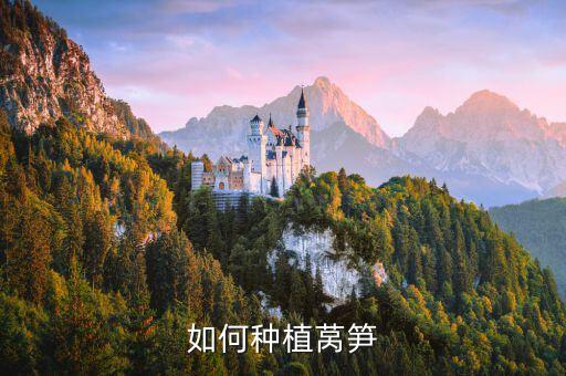 萵苣不用農藥用什么方法,萵苣打什么農藥好