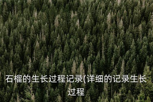 石榴的生長過程記錄(詳細的記錄生長過程