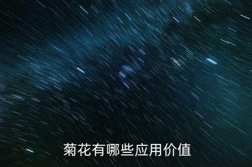  菊花有哪些應用價值