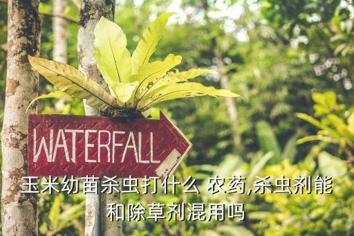 玉米幼苗殺蟲打什么 農藥,殺蟲劑能和除草劑混用嗎