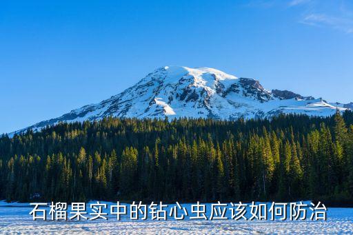 石榴需用什么農藥殺蟲