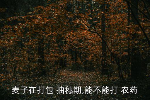 小麥抽穗期施什么農藥好,山東小麥抽穗在什么時間