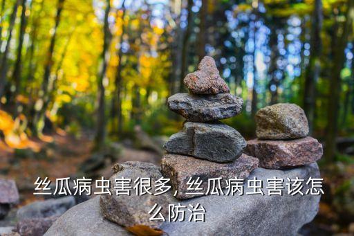 黃瓜絲瓜用什么農藥,絲瓜黃瓜草莓秋葵榴蓮