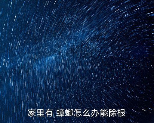蟑螂用什么農藥可以滅,什么農藥可治蟑螂卵蟲害