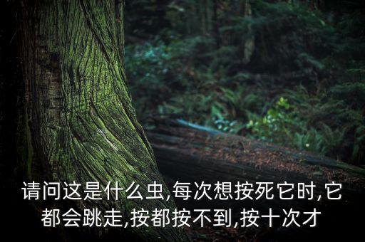 殺跳跳蟲用什么農藥,什么農藥殺地下蟲最好