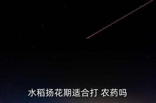 水稻揚(yáng)花期適合打 農(nóng)藥嗎