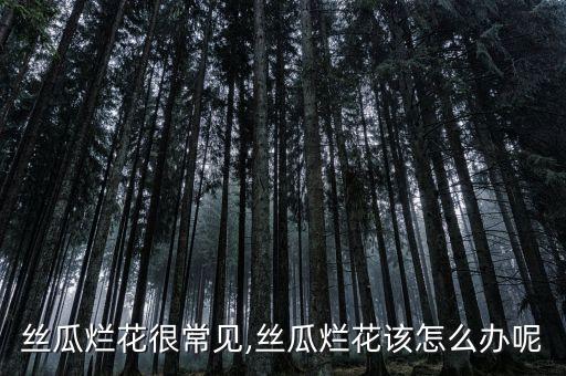 百可得能和什么農藥使用