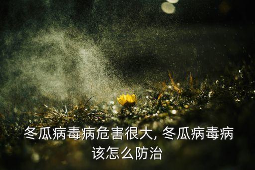  冬瓜病毒病危害很大, 冬瓜病毒病該怎么防治