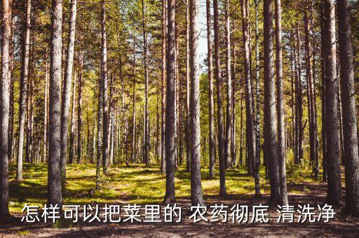 農藥蔬菜用什么清洗,鹽水清洗蔬菜可以去除農藥嗎