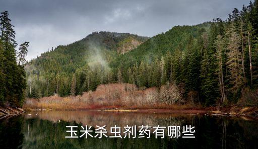 初期玉米打什么農藥,玉米種下后需要噴什么農藥