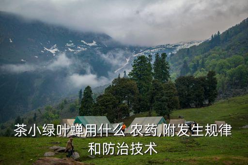 粘蟲黃板屬于什么農藥,粘蟲板黃板和藍板的區別