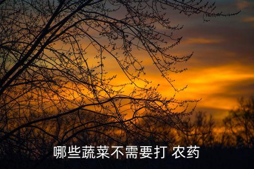哪些蔬菜不需要打 農藥
