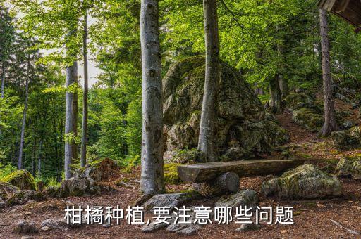 皇帝柑保果用什么農(nóng)藥